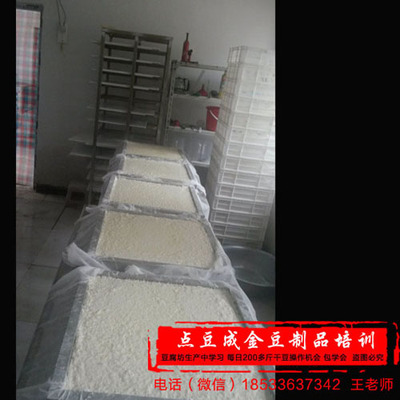 徐州卤水豆腐培训指南 正宗学习与销售前景