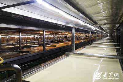 量质齐升 两年万亿 豆黄金引领豆制品产业新革命