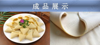 江苏无锡大型全自动多功能豆腐皮机 价格、功能与销售前景全解析
