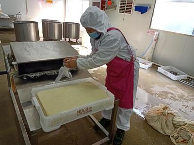 张八桥镇乡贤回归激活乡村振兴 豆制品销售成投资新亮点