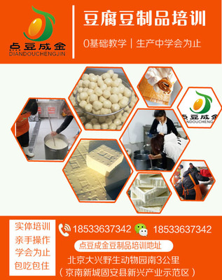 点豆成金 实用豆腐技术培训与豆制品销售全攻略