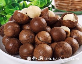 小嘴乐优休闲食品招商 小本投资决胜豆制品赛道，高利润回本快如闪电